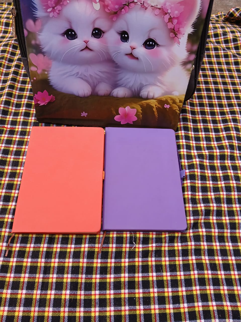 Vibrant Duo Diaries