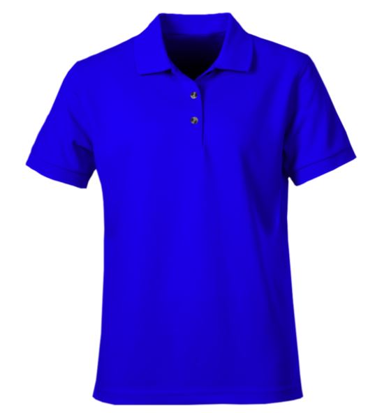 polo tshirt blue plain